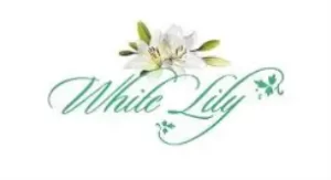 Landing Page Pincare B2B 7.4